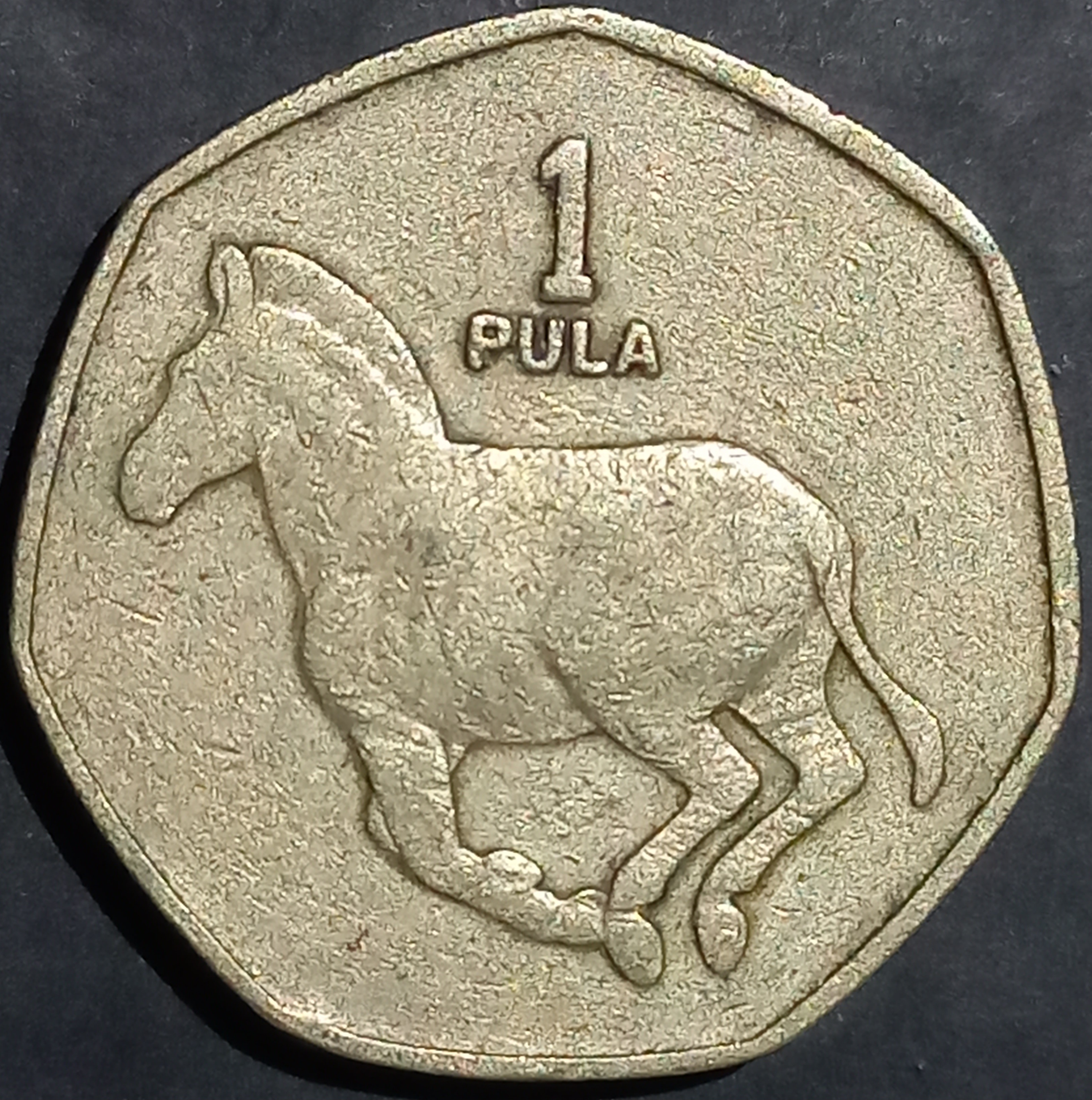 Botswana 1 Pula 1991~2007