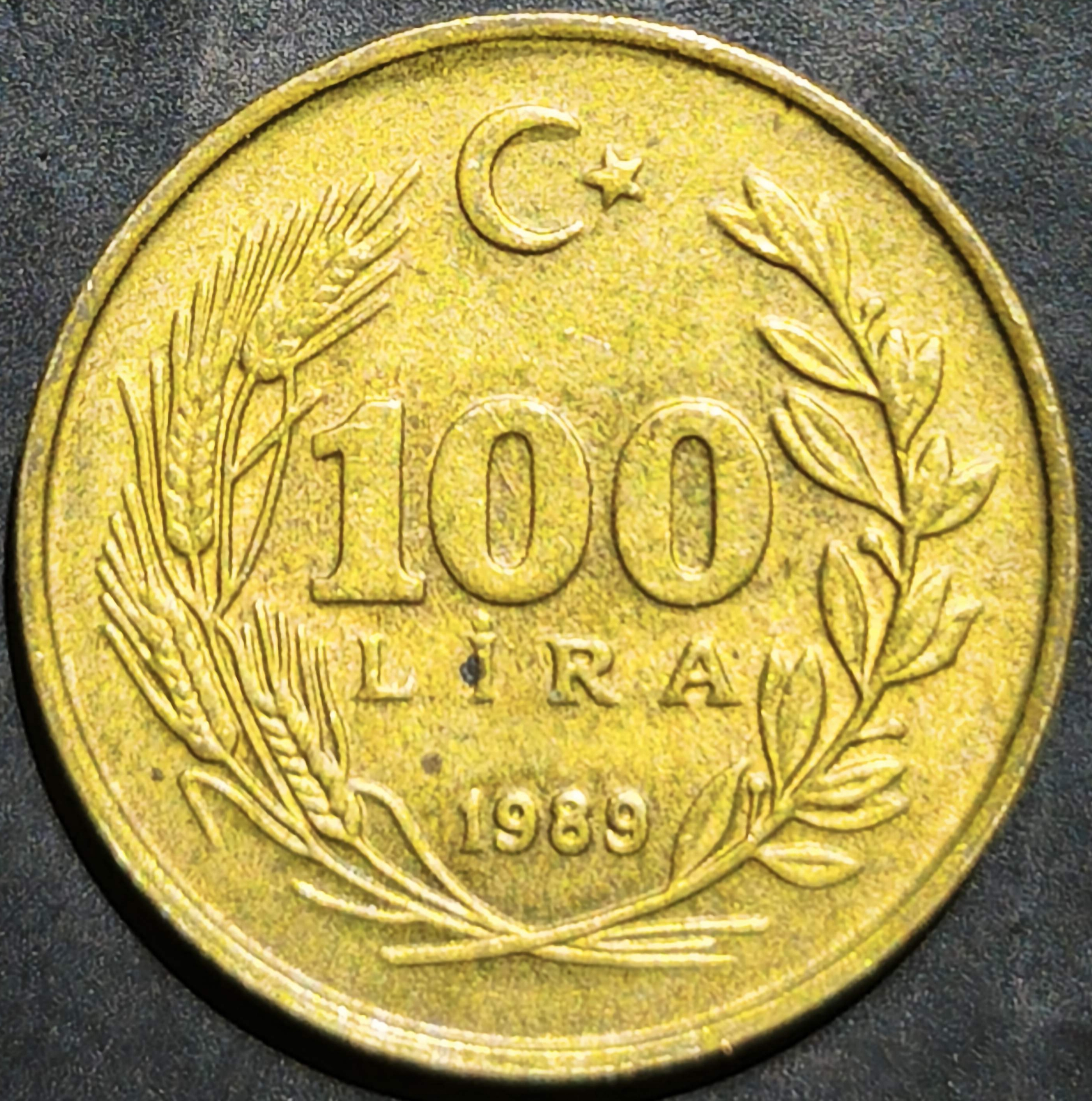 Turkey 100 Lira 1988~1994