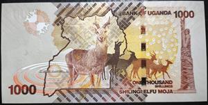 Uganda 1000 Shilling 2010~2025