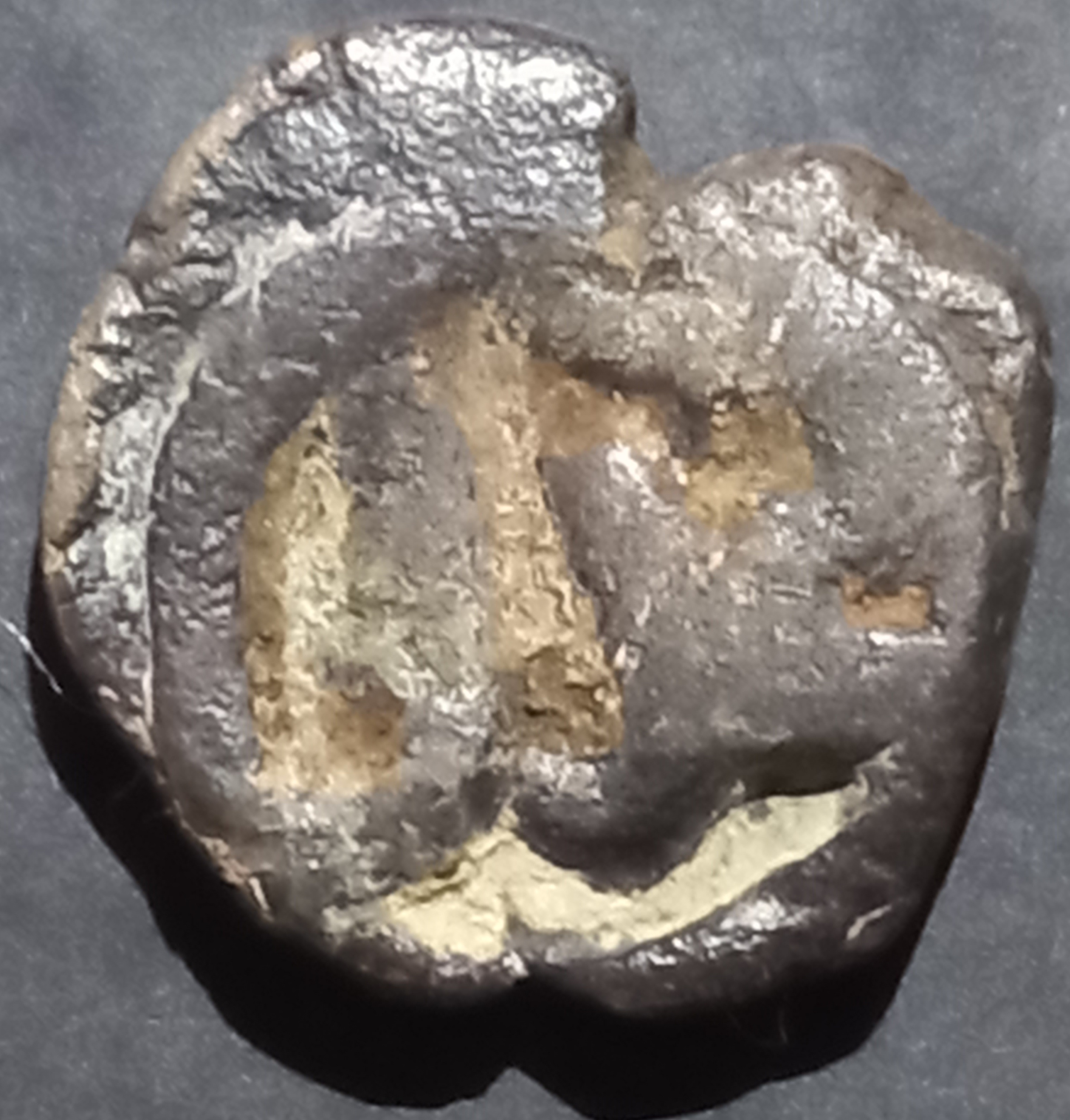 Mehrabanids Jital Nimroz 1400 عدل