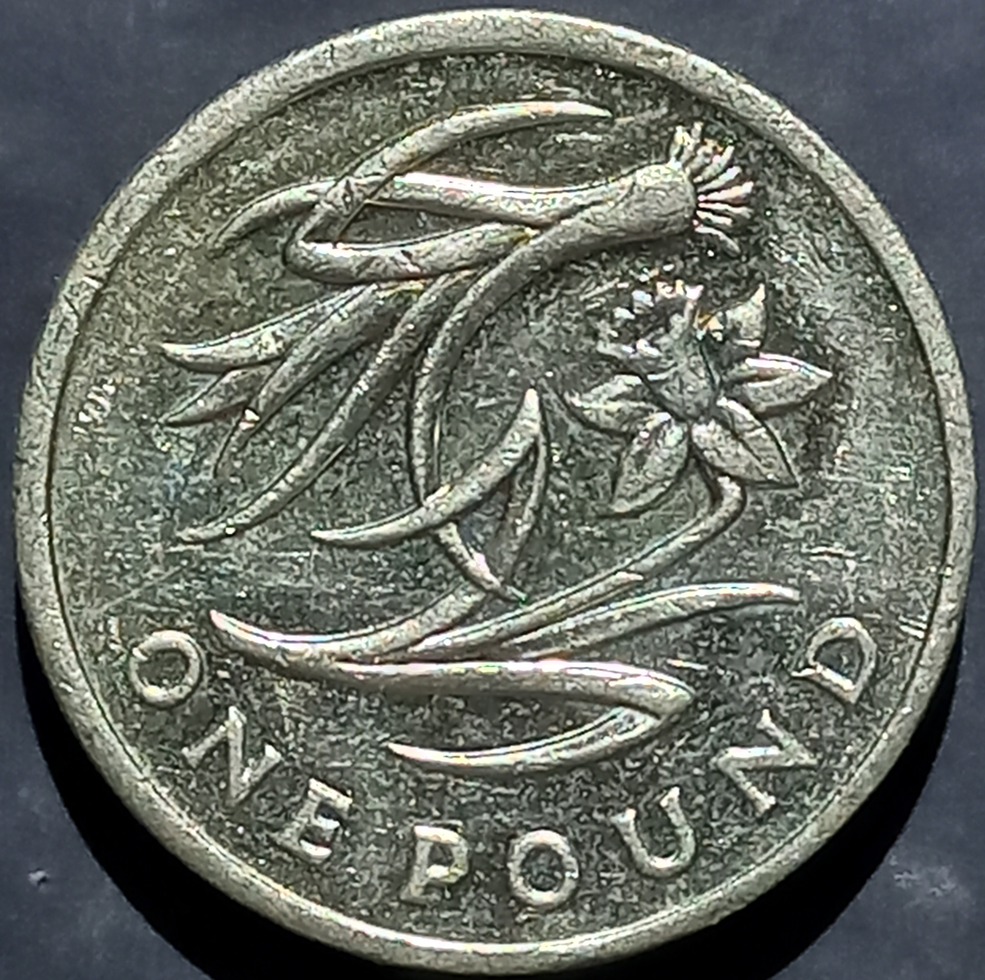 Great Britain 1 Pound 2013
